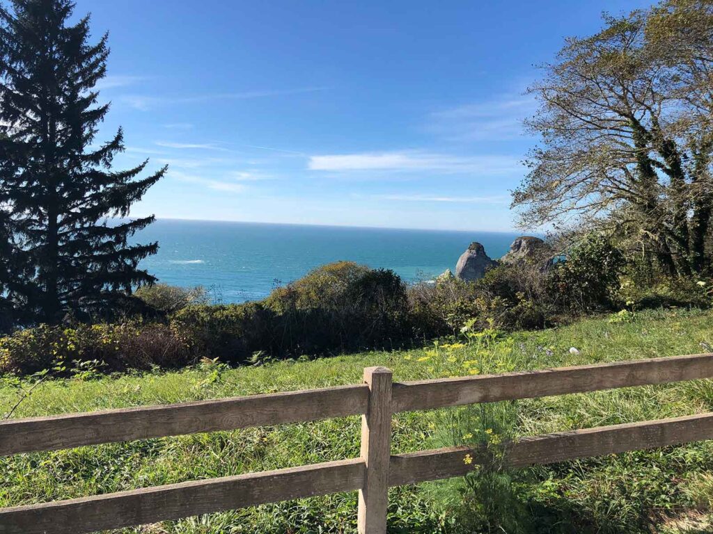 northern california coast with trees, field, fence in foreground